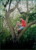 Andreas lesend im Baum